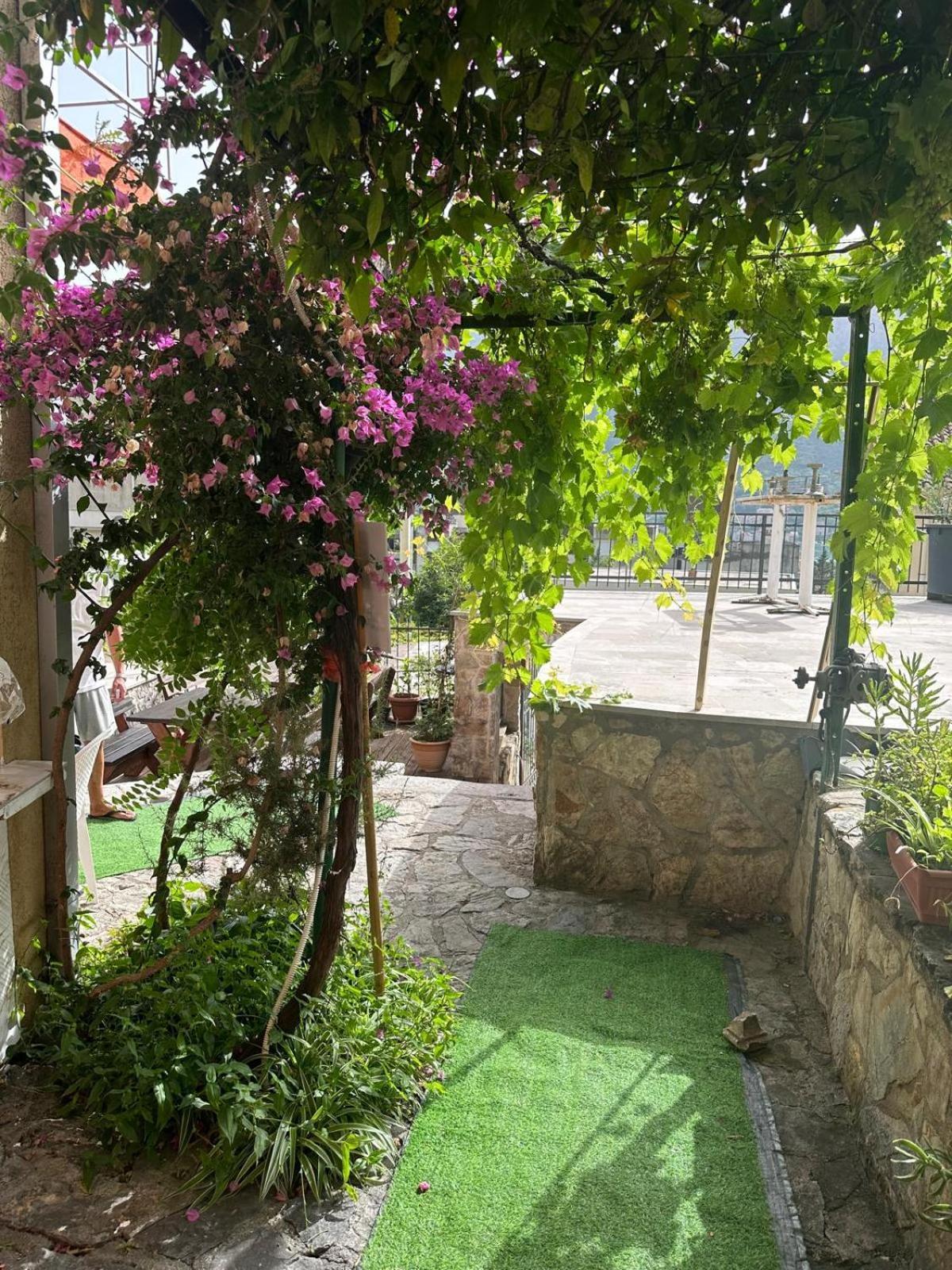 Themis Apart Hotel Котор Экстерьер фото