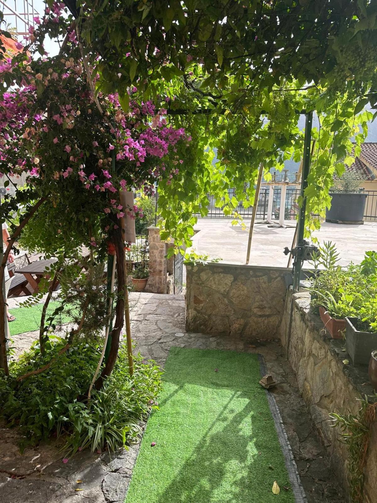 Themis Apart Hotel Котор Экстерьер фото