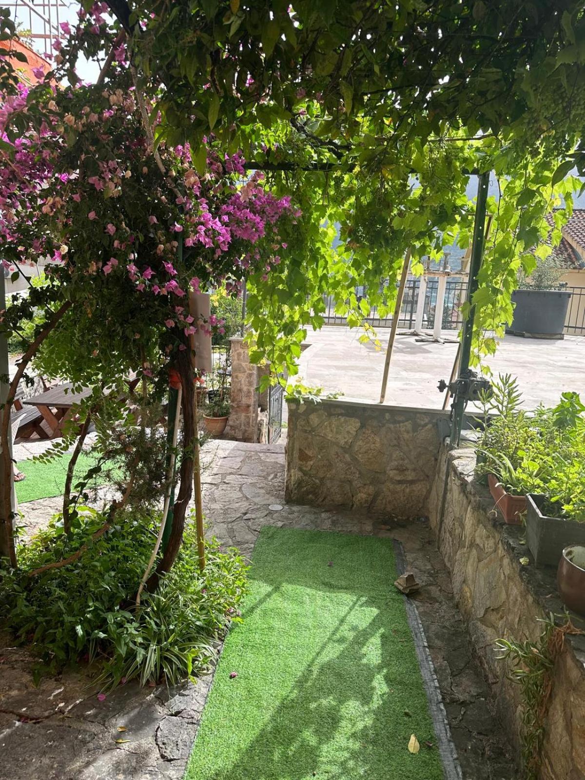 Themis Apart Hotel Котор Экстерьер фото